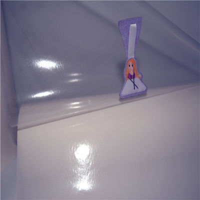 PA hot melt adhesive film for fabric and garment